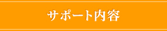 サポート内容